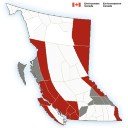 Rainfall Warning for the Elk Valley