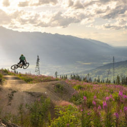 ReDi Grants Open for Applications Across the Columbia Basin