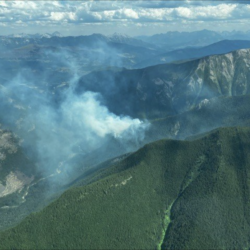 Southeast Wildfire Update