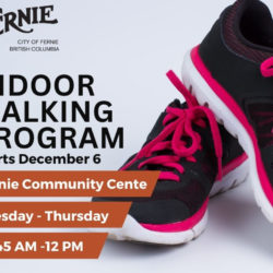 The Free Indoor Walking Program is back!