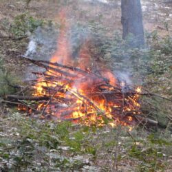 Category 2 Open Burn Prohibition to be Rescinded