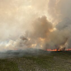 Wildfire Risk Rising Across B.C. — Residents Urged to Stay Vigilant