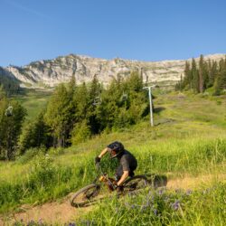 Fernie Alpine Resort Gears Up for Summer Adventure Season