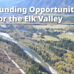 $16 Million Funding Available for Elk Valley Fish Habitat Conservation