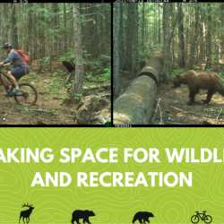 New Trailhead Signs Encourage Safe Recreation with Wildlife