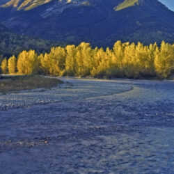 Province Steps to Improve Elk Valley Water Quality Fall Short