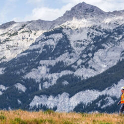 Ottawa Orders Further Assessment of Fording River Extension Project