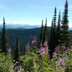 Fernie Trails Alliance Welcomes Conservation Purchase by NCC