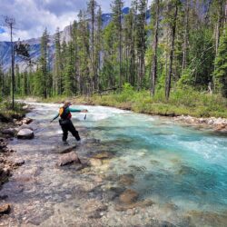 Call for BC to Modernize Industrial Water Rates and Support Local Watershed Security