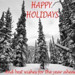 What Fernie Should Be Thankful For This Year