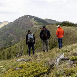 Kootenay Forest Lands - A Once-in-a-Generation Conservation Win for Fernie