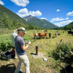 Groundwater Report Flags At-Risk Aquifers