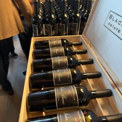 “Going Vertical for the Kids” Raises the Bar for Emily Brydon Youth Foundation