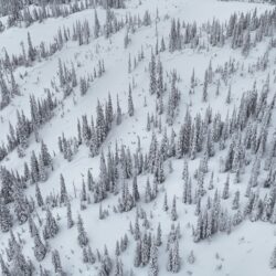 Matheson Creek Avalanche Snowmobiler Fatality