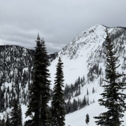 Fernie Skiing Incident Claims Life of Local Woman