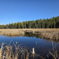 EVR Celebrates the Successful Completion of the Suzanne Creek Marsh Project