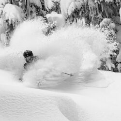Powder Tuesday