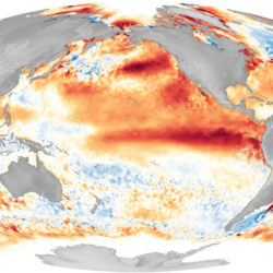 A Super El Niño Is Forecast—What Could That Mean?