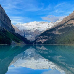 Whirling Disease Near Fernie: Growing Threat to Elk Valley Fisheries