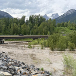 Fernie High Water Awareness: Sandbags Available as Heavy Rain Approaches