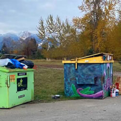 Fernie Community Bear-Resistant Bins Under Review as City Seeks Feedback