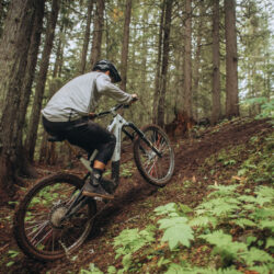 Introducing the Trailforks Fernie E-Rally