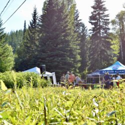 Elk River Alliance Looks To Its Next Chapter After Another Year Of Impact In The Elk Valley