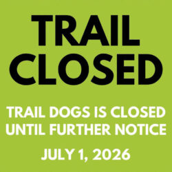 Mountain Biker Died on Trail Dogs in Fernie