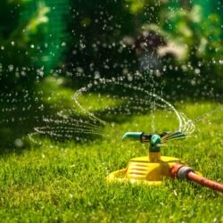 Fernie Water Restrictions Begin July 22