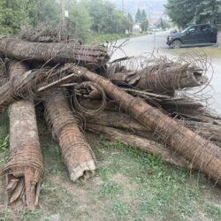 Fernie Annex History Unearthed by Century-Old Wooden Water Pipes