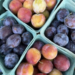 Country-of-Origin Produce Signs Removed at Independent Grocer