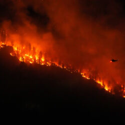 East Kootenay Fires Update – Calamity restriction rescinded