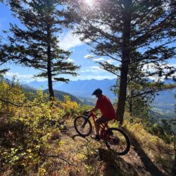 Fernie Outdoor Recreation Economy Delivers